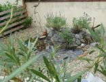 Hinterer Garten